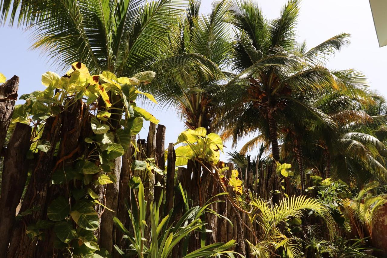 Andrea'S Tulum Hotel Exterior photo