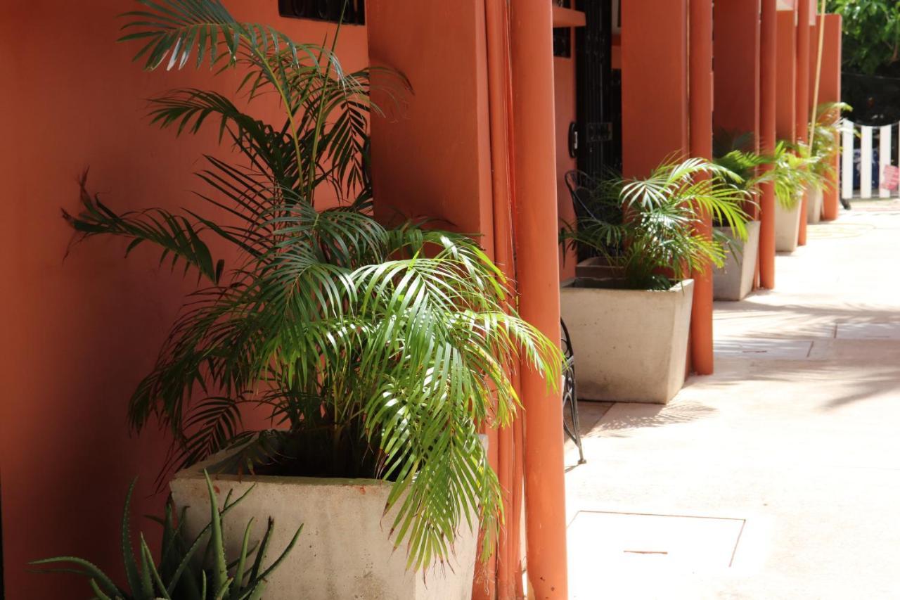 Andrea'S Tulum Hotel Exterior photo